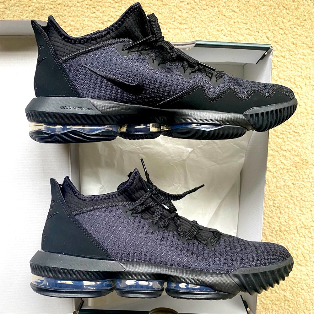 Nike LEBRON XVI LOW (Brand New!) shoes